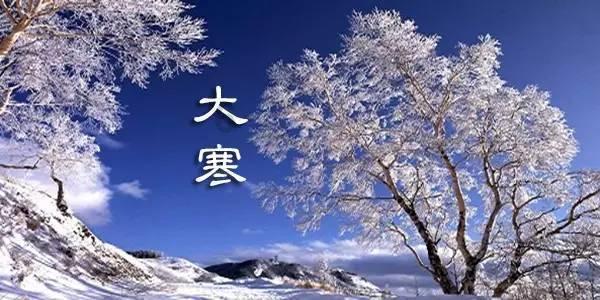 100天学霸养成