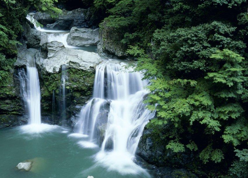 牙周炎可以用电动牙刷吗？详解声波、扫振、旋转式害处