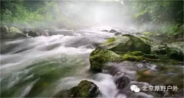 5-6万皮卡车哪种比较实用?-知识问答网页