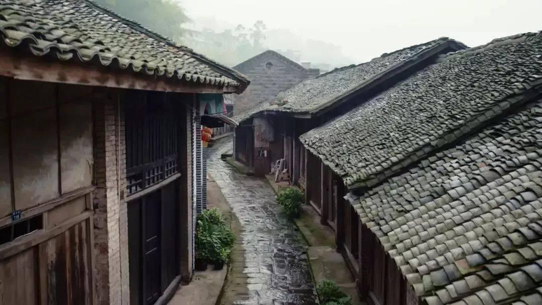最补肾的一种豆子,对眼睛特别好,对头发也特别好,冬天要吃起来