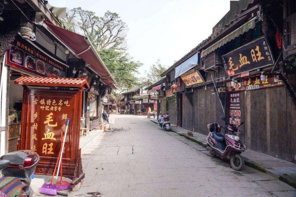 周海媚追思会红磡殡仪馆举办,北京豪宅未售,宠物狗寻新主
